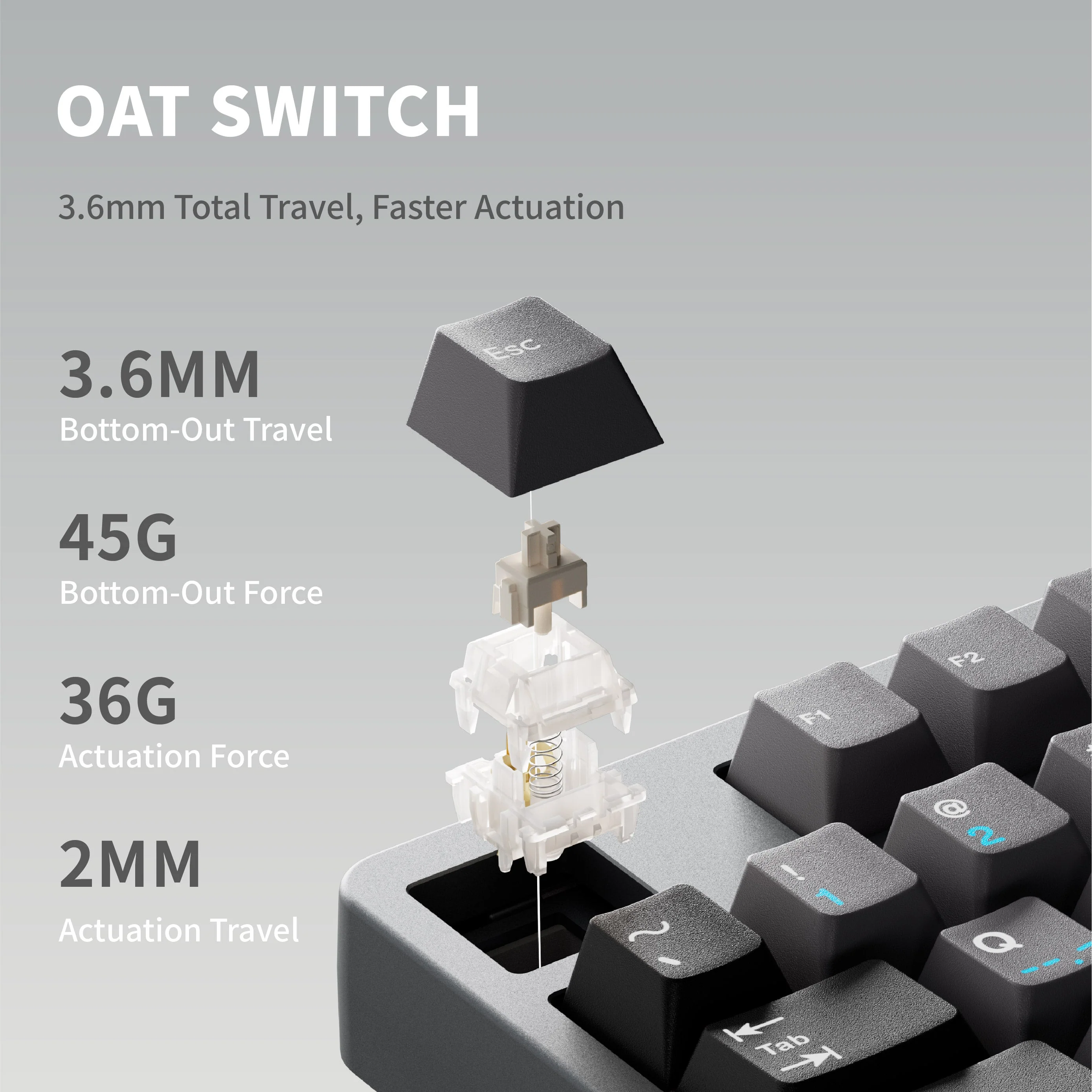 Qwertykeys QK80Mk2 Custom Wireless Mechanical Keyboard - Image 4