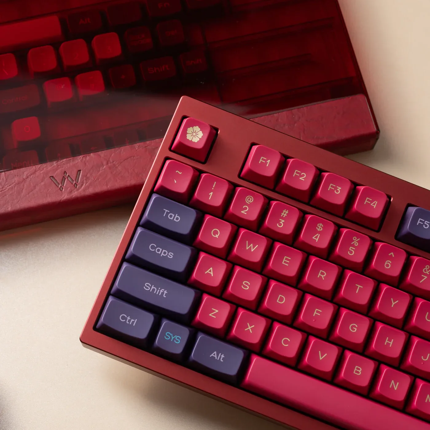 WPJ KOKUSAI WDA Profile Full Kit Keycap Set - Image 9