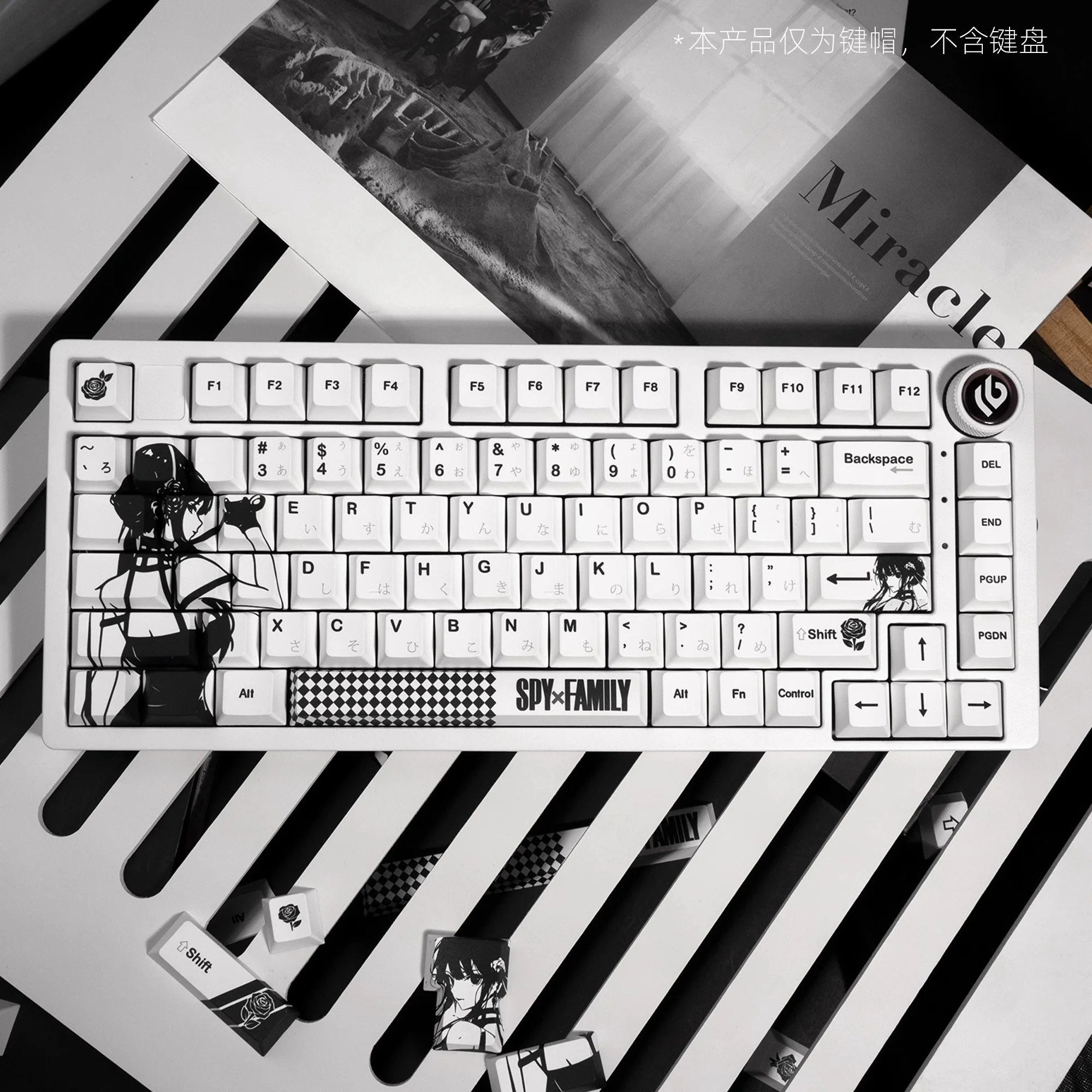 XVX SPY FAMILY Cherry Profile 5-sided Dye-Sub PBT Keycap - Image 6